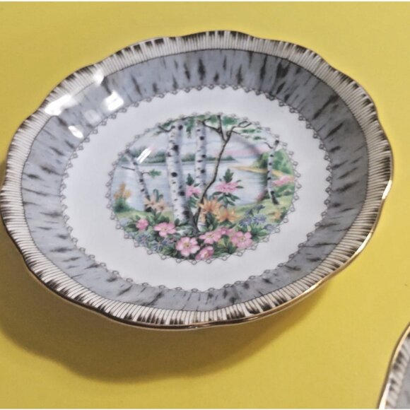 Two Vintage Royal Albert Silver Birch pattern Cup & Saucer Sets - Picture 8 of 15